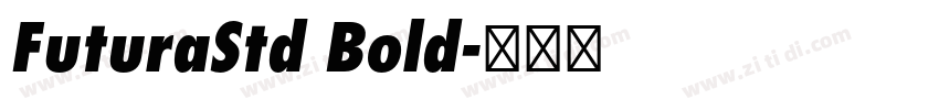FuturaStd Bold字体转换